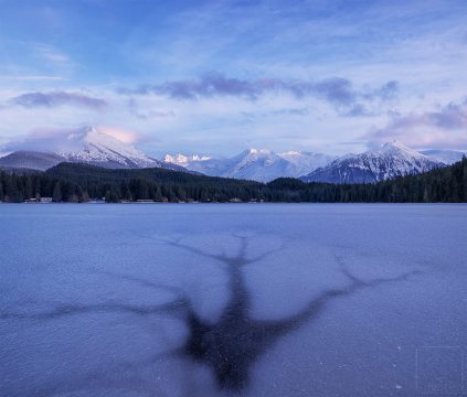 ice spider