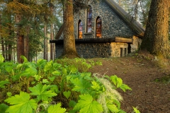 The Shrine