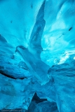 frozen eagle