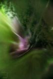 Aurora Borealis Corona