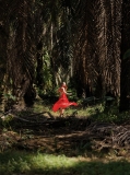 into the forest