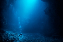 Enter the Blue
