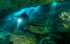 the explorer